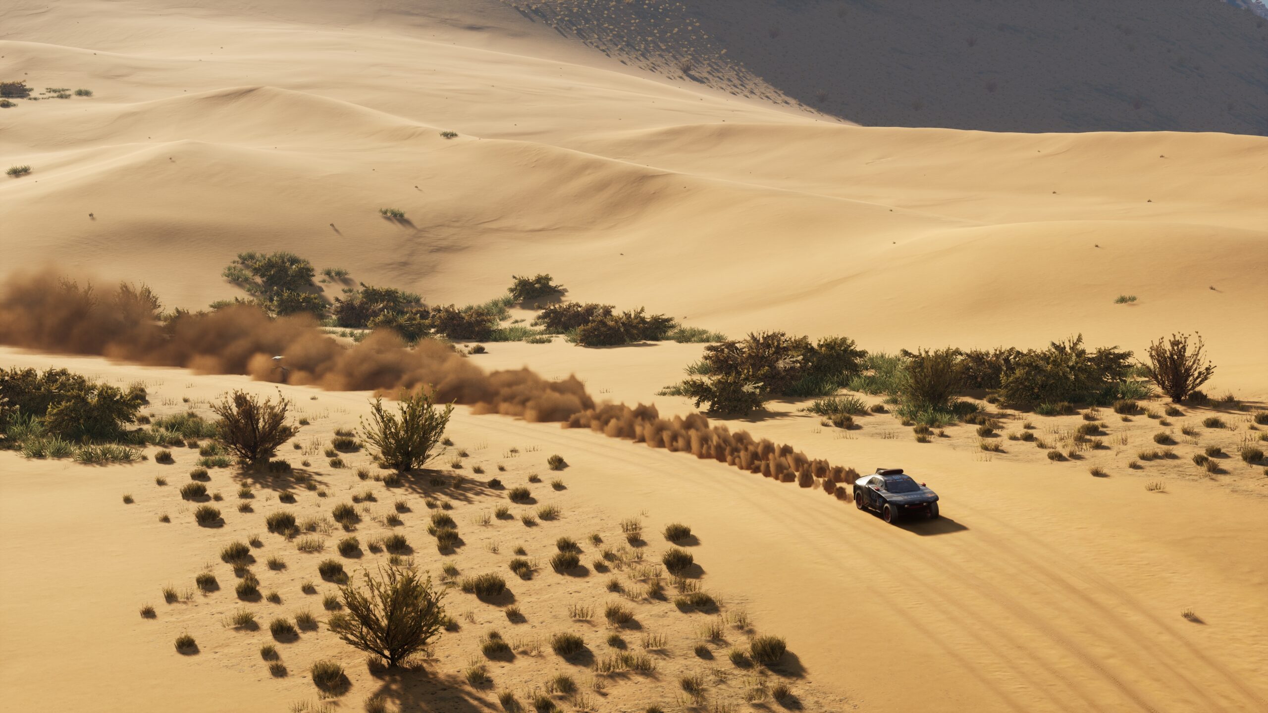 Dakar-Desert-Rally_2022_08-15-22_006