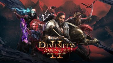 Divinity: Original Sin II - Definitive Edition